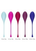 Kegel Training 5 Pcs Multicolor