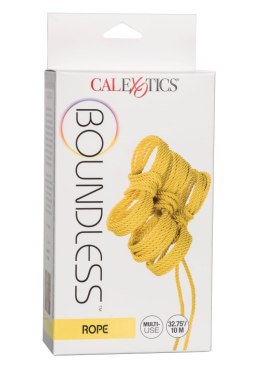 Boundless Rope 10M Yellow